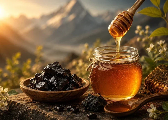 Shilajit and honey: the oldest delivery system in natural medicine