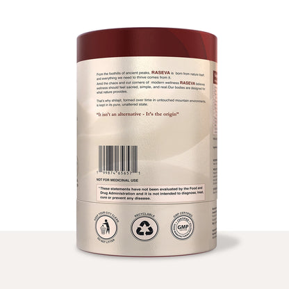 Shilajit Honey Sticks